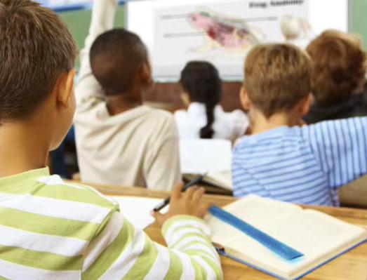 Optoma X343 3600 Lumens Projector with HDMI, VGA, and 10W Speaker for Classrooms and Offices